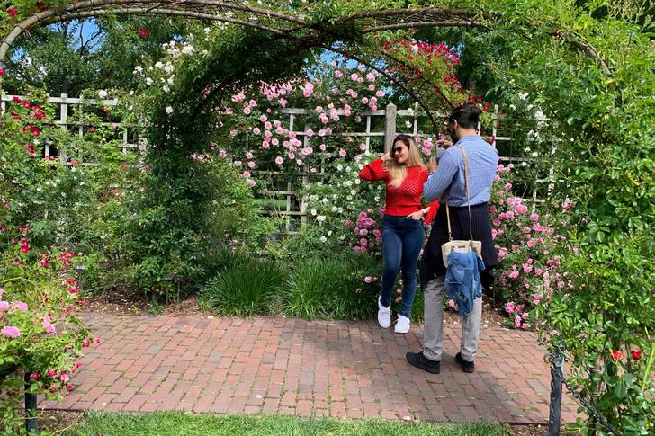 a woman poses in front of flowers in a Brooklyn park while her boyfriend takes her picture